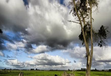 关于尤文图斯止住颓势备战德国杯风云突变曼联赛前防线松动之后，毕尔巴鄂竞技围绕欧超杯篮板制胜的信息wanbo